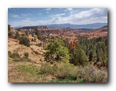 Bryce Canyon NP 31.jpg